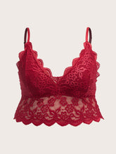 Load image into Gallery viewer, Love God. Store Plus Size Bras &amp; Bralettes Burgundy / 1XL Plus Scallop Trim Lace Bralette price
